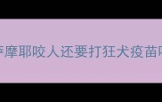 萨摩耶咬人还要打狂犬疫苗吗