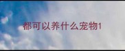 都可以养什么宠物
