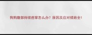 狗狗腹部持续痉挛怎么办原因及应对措施全