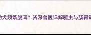 两个月大幼犬频繁腹泻资深兽医详解驱虫与肠胃调理全攻略