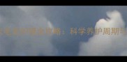边境牧羊犬毛发护理全攻略科学养护周期与实用技巧