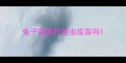 兔子需要打驱虫疫苗吗