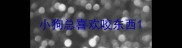 小狗总喜欢咬东西