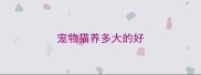 宠物猫养多大的好