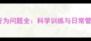 泰迪犬行为问题全科学训练与日常管理指南