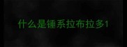 什么是锤系拉布拉多