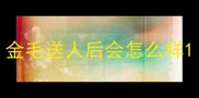 金毛送人后会怎么样