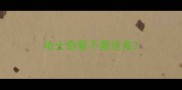 哈士奇要不要绝育