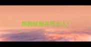 狗狗被抛弃等主人