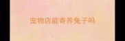 宠物店能寄养兔子吗