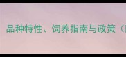 上海养边牧全攻略品种特性饲养指南与政策附养犬必备清单