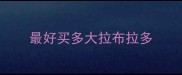 最好买多大拉布拉多