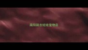 南阳路吉娃娃宠物店