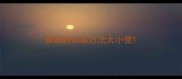 泰迪的训练方法大小便
