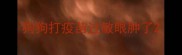 狗狗打疫苗过敏眼肿了