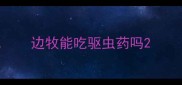 边牧能吃驱虫药吗