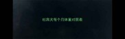 杜宾犬每个月体重对照表