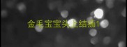 金毛宝宝头上结痂