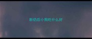 断奶后小狗吃什么好