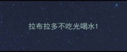 拉布拉多不吃光喝水