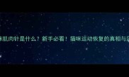 猫咪肌肉针是什么新手必看猫咪运动恢复的真相与风险