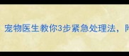 小狗腿被门夹了怎么办宠物医生教你3步紧急处理法附家庭急救指南附图