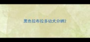 黑色拉布拉多幼犬分辨