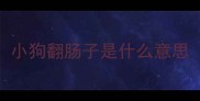 小狗翻肠子是什么意思