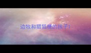 边牧和猎狐梗的孩子
