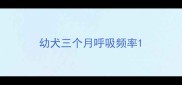幼犬三个月呼吸频率