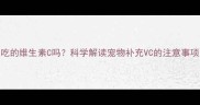 狗狗能吃人吃的维生素C吗科学解读宠物补充VC的注意事项与安全指南