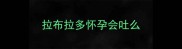 拉布拉多怀孕会吐么