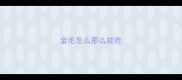 金毛怎么那么能吃