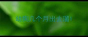 幼狗几个月出去溜