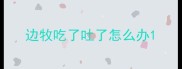 边牧吃了吐了怎么办