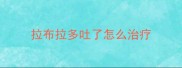 拉布拉多吐了怎么治疗