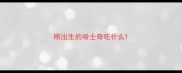 刚出生的哈士奇吃什么