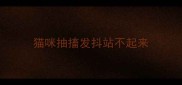猫咪抽搐发抖站不起来