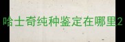 哈士奇纯种鉴定在哪里
