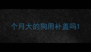 个月大的狗用补盖吗