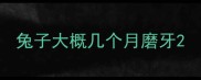 兔子大概几个月磨牙