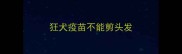 狂犬疫苗不能剪头发