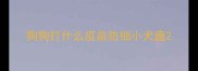 狗狗打什么疫苗防细小犬瘟