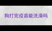 狗打完疫苗能洗澡吗