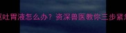 哈士奇呕吐胃液怎么办资深兽医教你三步紧急处理法