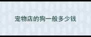 宠物店的狗一般多少钱