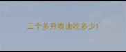 三个多月泰迪吃多少