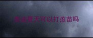泰迪夏天可以打疫苗吗