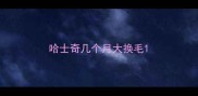 哈士奇几个月大换毛