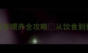 2个月大法斗犬科学喂养全攻略从饮食到护理保姆级教程